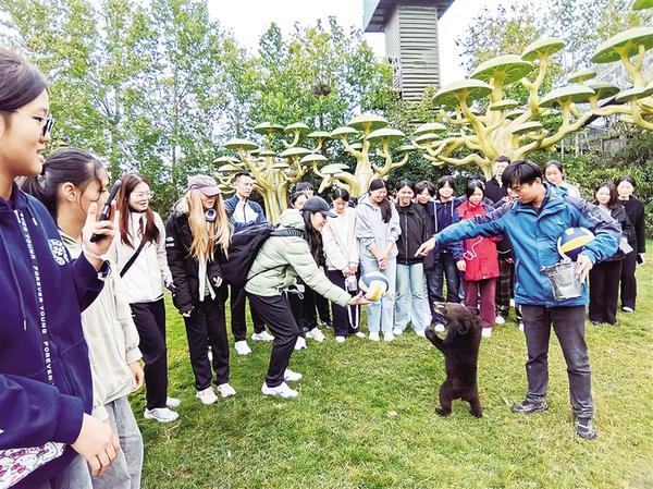 全场屏息凝, 此役周口队